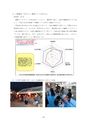 平成27年度「学校法人日本赤十字学園赤十字と看護・介護に関する研究助成」研究報告書